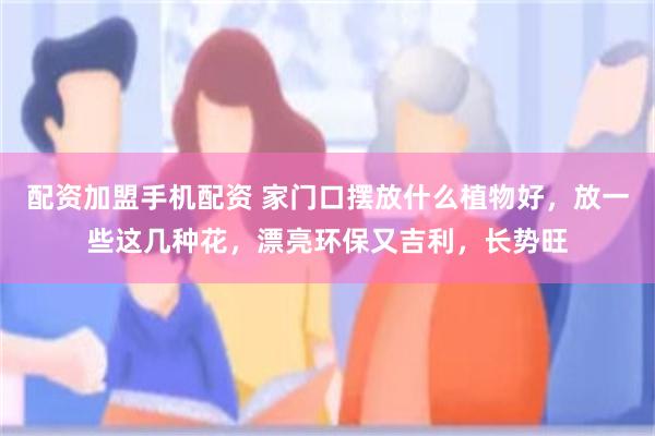配资加盟手机配资 家门口摆放什么植物好，放一些这几种花，漂亮环保又吉利，长势旺
