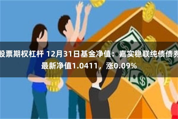 股票期权杠杆 12月31日基金净值：嘉实稳联纯债债券最新净值1.0411，涨0.09%
