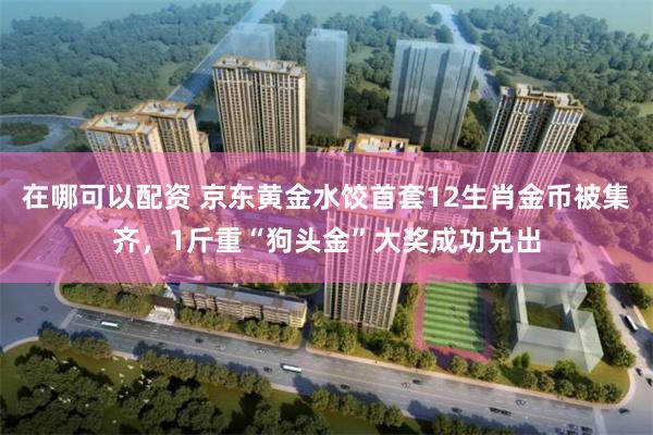 在哪可以配资 京东黄金水饺首套12生肖金币被集齐，1斤重“狗头金”大奖成功兑出