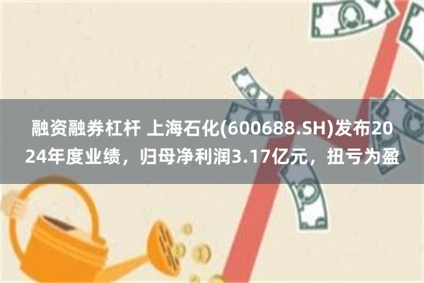 融资融券杠杆 上海石化(600688.SH)发布2024年度业绩，归母净利润3.17亿元，扭亏为盈