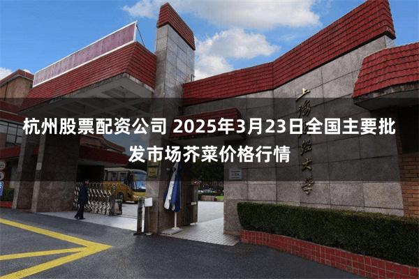 杭州股票配资公司 2025年3月23日全国主要批发市场芥菜价格行情
