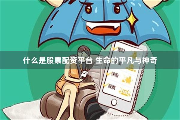 什么是股票配资平台 生命的平凡与神奇
