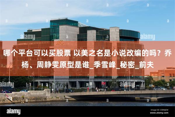 哪个平台可以买股票 以美之名是小说改编的吗？乔杨、周静雯原型是谁_季雪峰_秘密_前夫