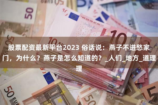 股票配资最新平台2023 俗话说：燕子不进愁家门，为什么？燕子是怎么知道的？_人们_地方_道理
