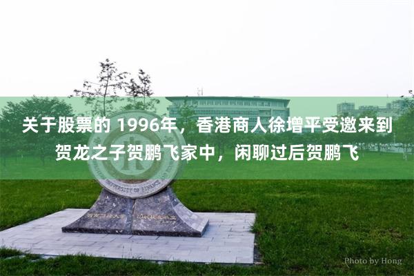 关于股票的 1996年，香港商人徐增平受邀来到贺龙之子贺鹏飞家中，闲聊过后贺鹏飞
