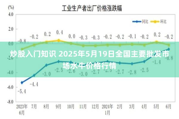 炒股入门知识 2025年5月19日全国主要批发市场水牛价格行情