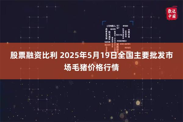 股票融资比利 2025年5月19日全国主要批发市场毛猪价格行情