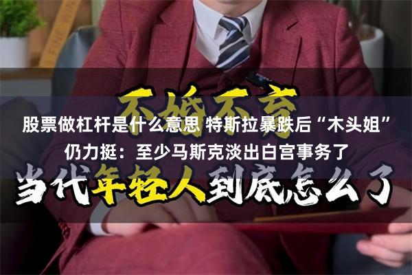 股票做杠杆是什么意思 特斯拉暴跌后“木头姐”仍力挺：至少马斯克淡出白宫事务了