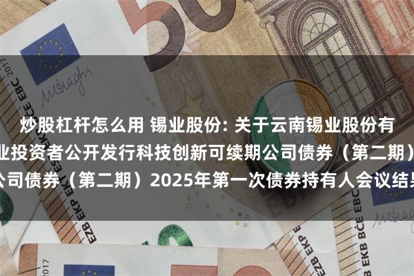 炒股杠杆怎么用 锡业股份: 关于云南锡业股份有限公司2024年面向专业投资者公开发行科技创新可续期公司债券(第二期)2025年第一次债券持有人会议结果的公告