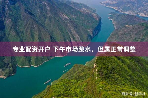 专业配资开户 下午市场跳水，但属正常调整