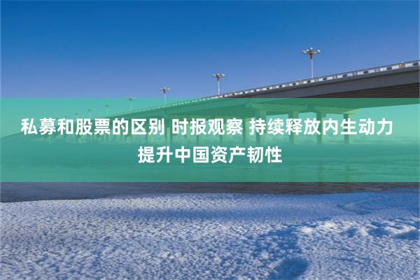 私募和股票的区别 时报观察 持续释放内生动力 提升中国资产韧性