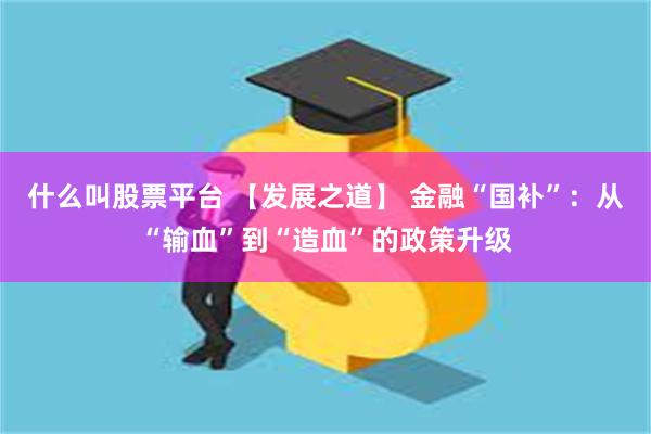 什么叫股票平台 【发展之道】 金融“国补”：从“输血”到“造血”的政策升级