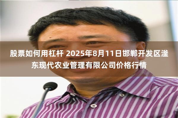 股票如何用杠杆 2025年8月11日邯郸开发区滏东现代农业管理有限公司价格行情