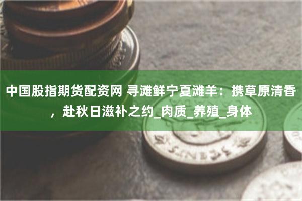 中国股指期货配资网 寻滩鲜宁夏滩羊：携草原清香，赴秋日滋补之约_肉质_养殖_身体