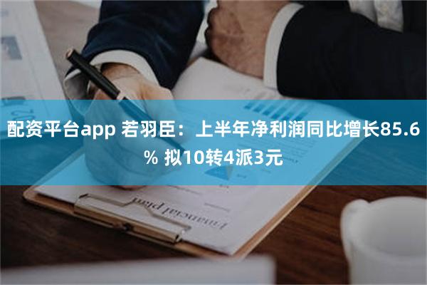配资平台app 若羽臣：上半年净利润同比增长85.6% 拟10转4派3元