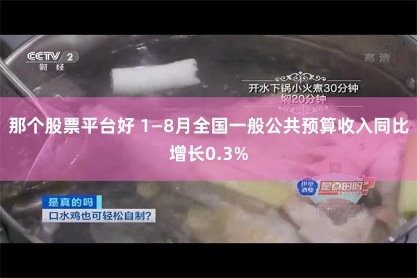 那个股票平台好 1—8月全国一般公共预算收入同比增长0.3%